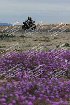 media/Jan-14-2023-SoCal Trackdays (Sat) [[497694156f]]/Turn 14 Exit Bloomig (145pm)/